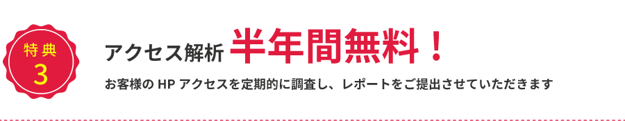 アクセス解析 半年間無料!お客様のHPアクセスを定期的に調査し、レポートをご提出させていただきます