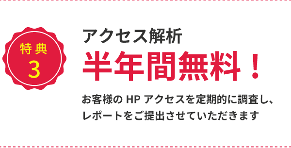 アクセス解析 半年間無料!お客様のHPアクセスを定期的に調査し、レポートをご提出させていただきます